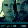 elf & dunadan