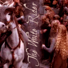 46: The White Rider