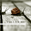 snail