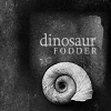 ammonite