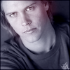 shane van dyke