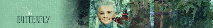 legolas and the butterfly